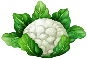 a cauliflower 
